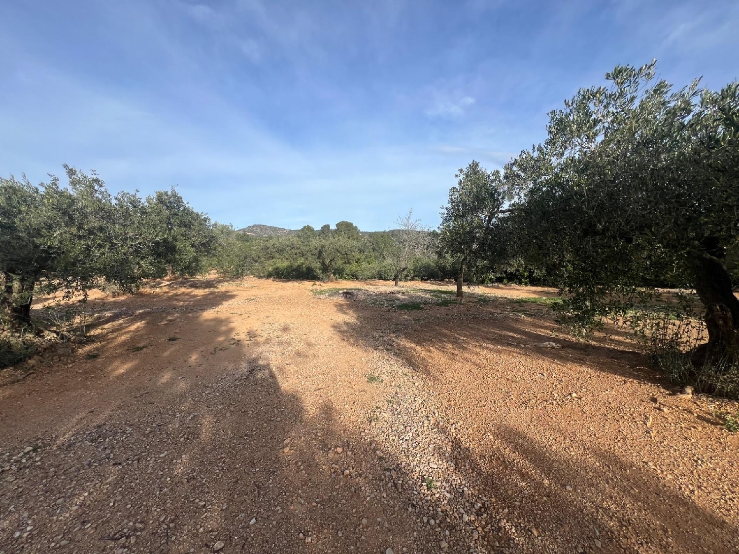  till salu hus på landet Cap-Roig Baix Ebre 6
