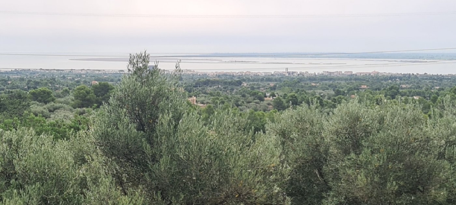 till salu hus på landet Cap-Roig Baix Ebre 3