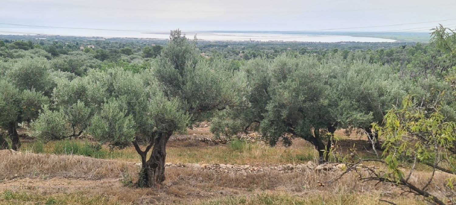  till salu hus på landet Cap-Roig Baix Ebre 4