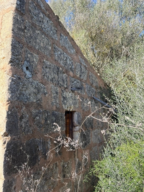 Ca''s Canar Pla (Es) hus på landet foto 6255885