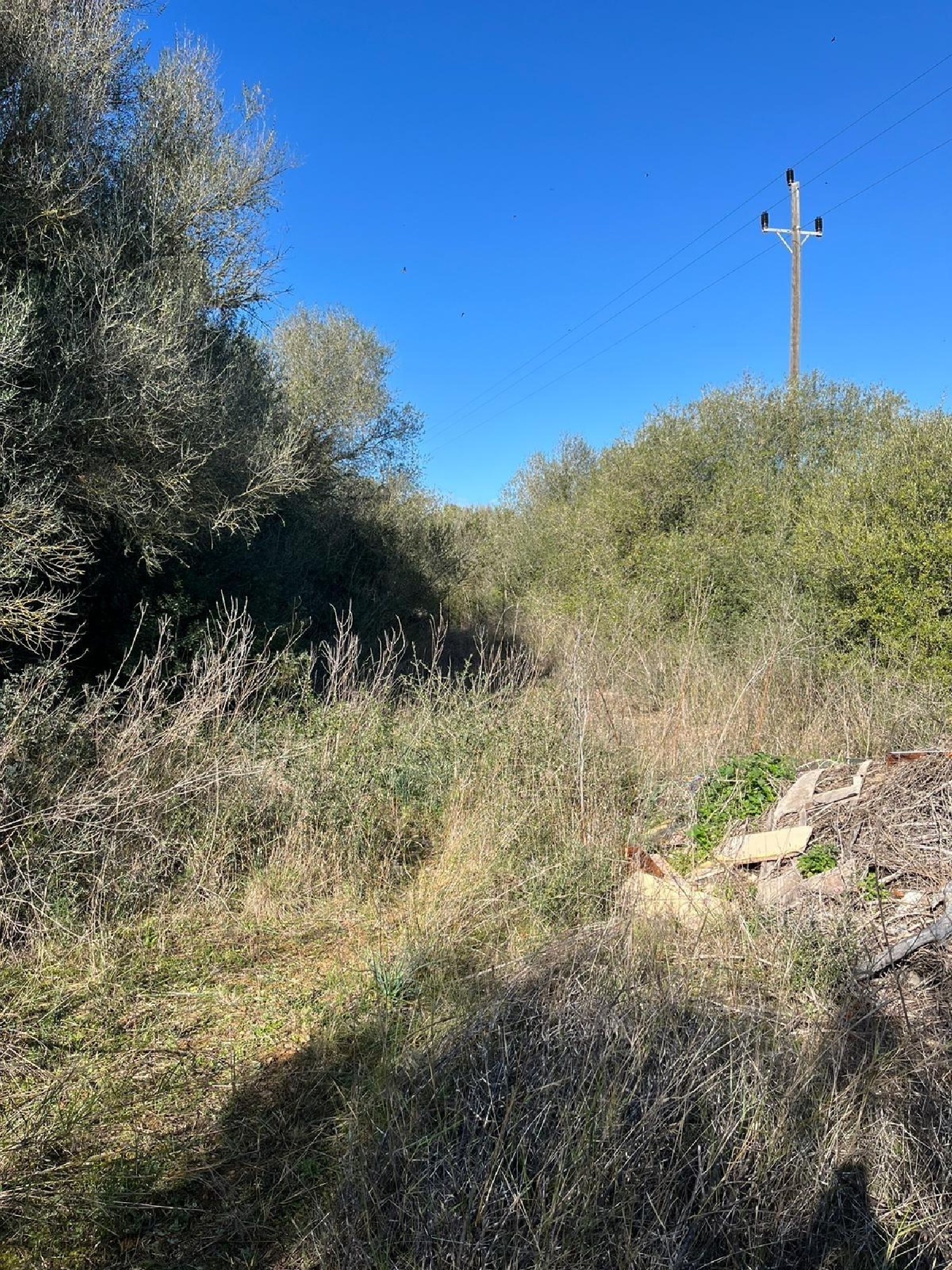  à vendre maison de campagne Sencelles Pla (Es) 7