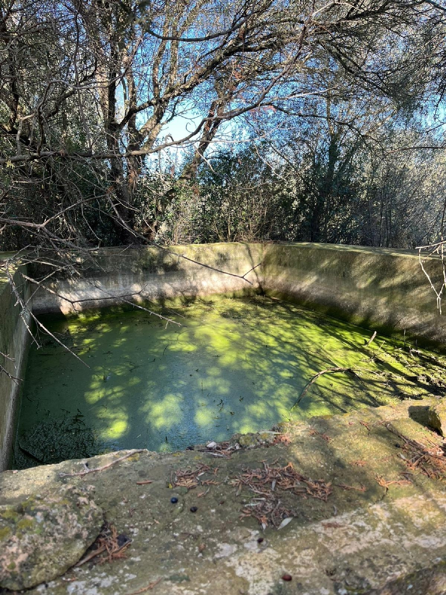 à vendre maison de campagne Sencelles Pla (Es) 3