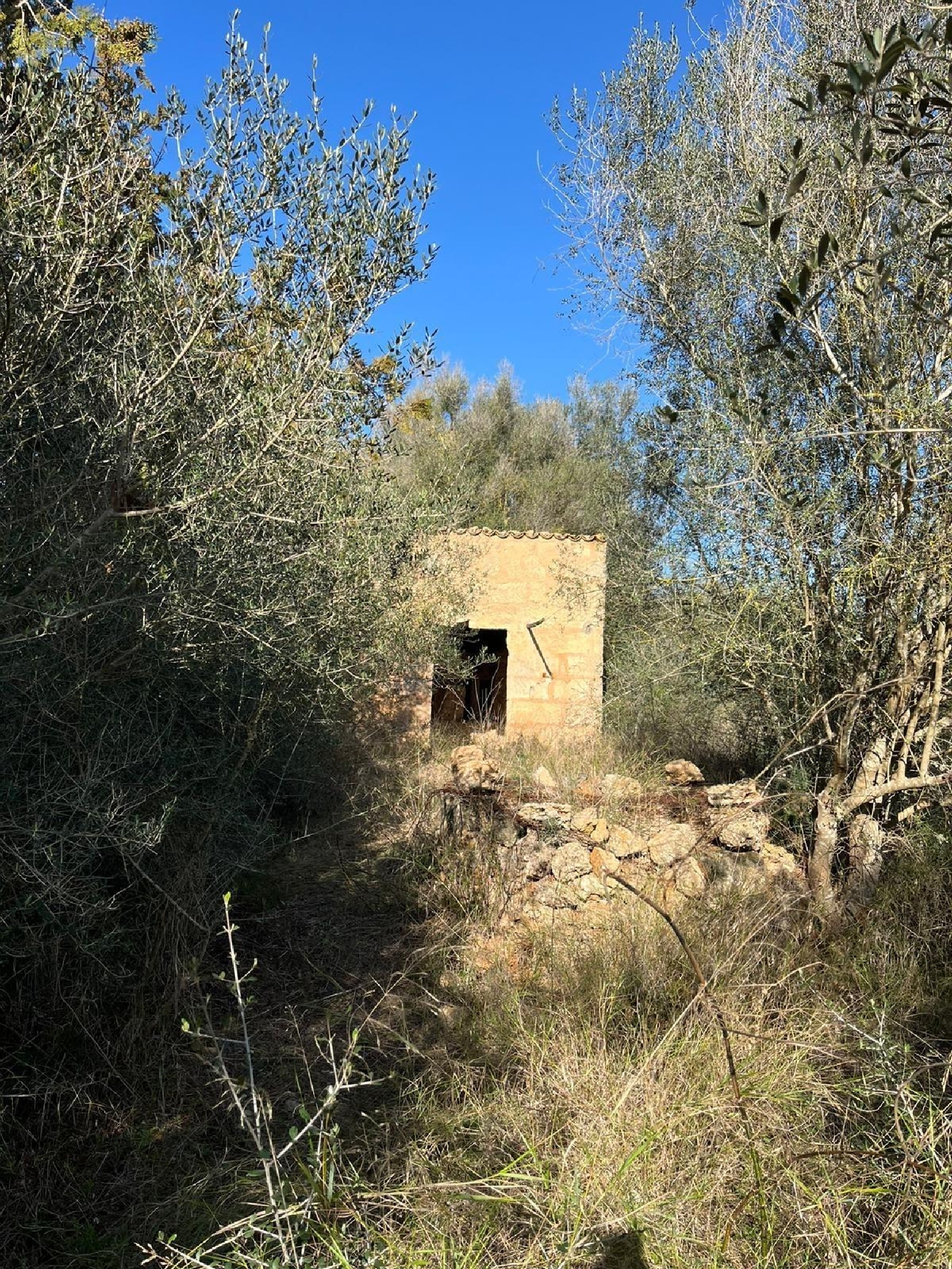  à vendre maison de campagne Sencelles Pla (Es) 4