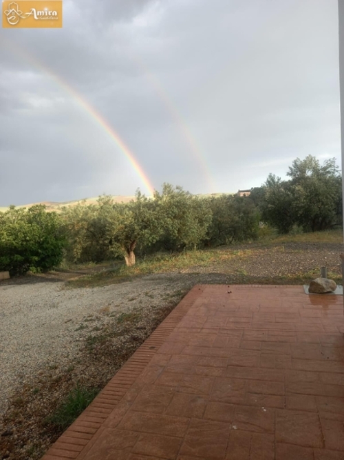 Casarabonela Sierra De Las Nieves hus på landet foto 6255424