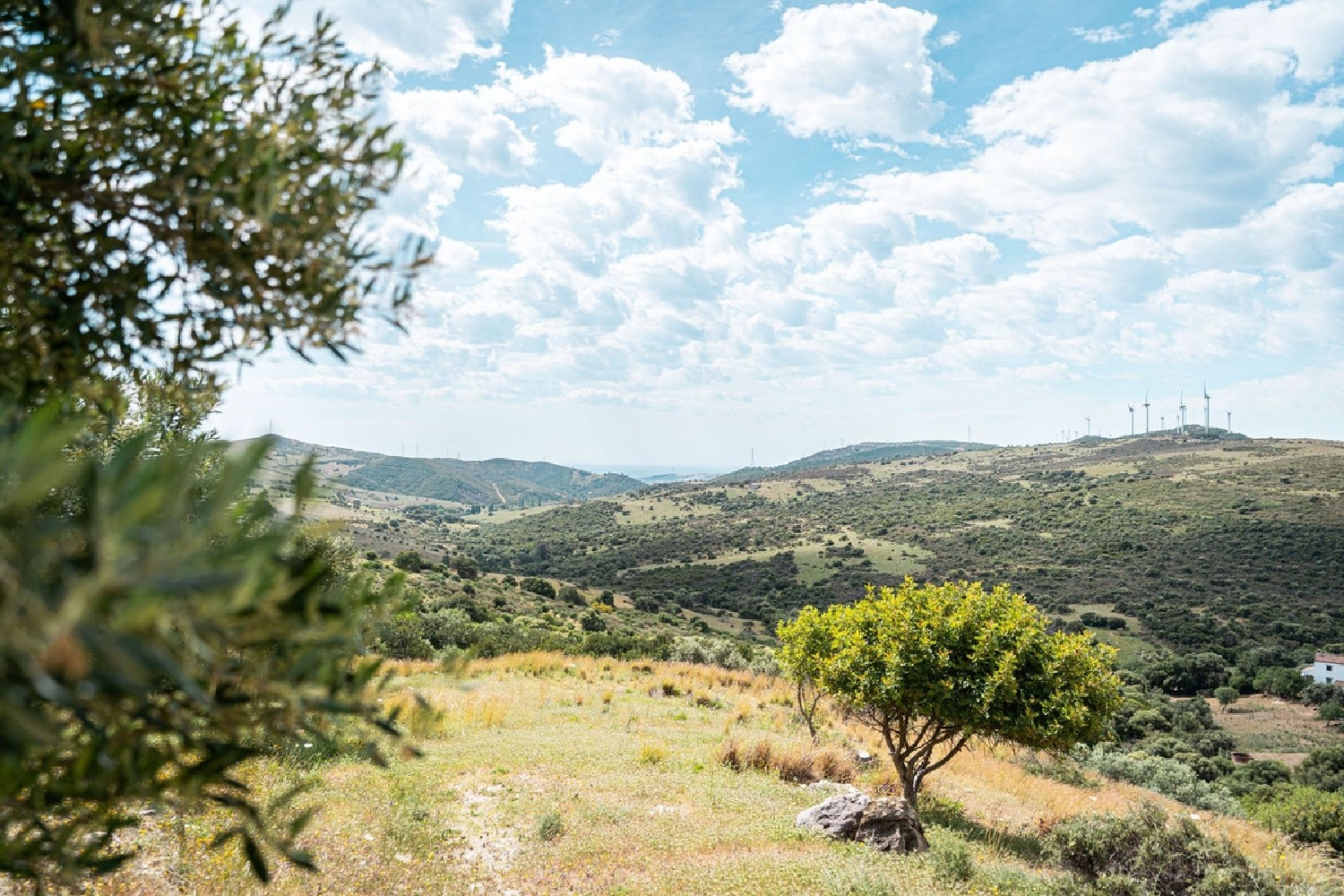  till salu hus på landet Casares Costa Costa Del Sol Occidental 8