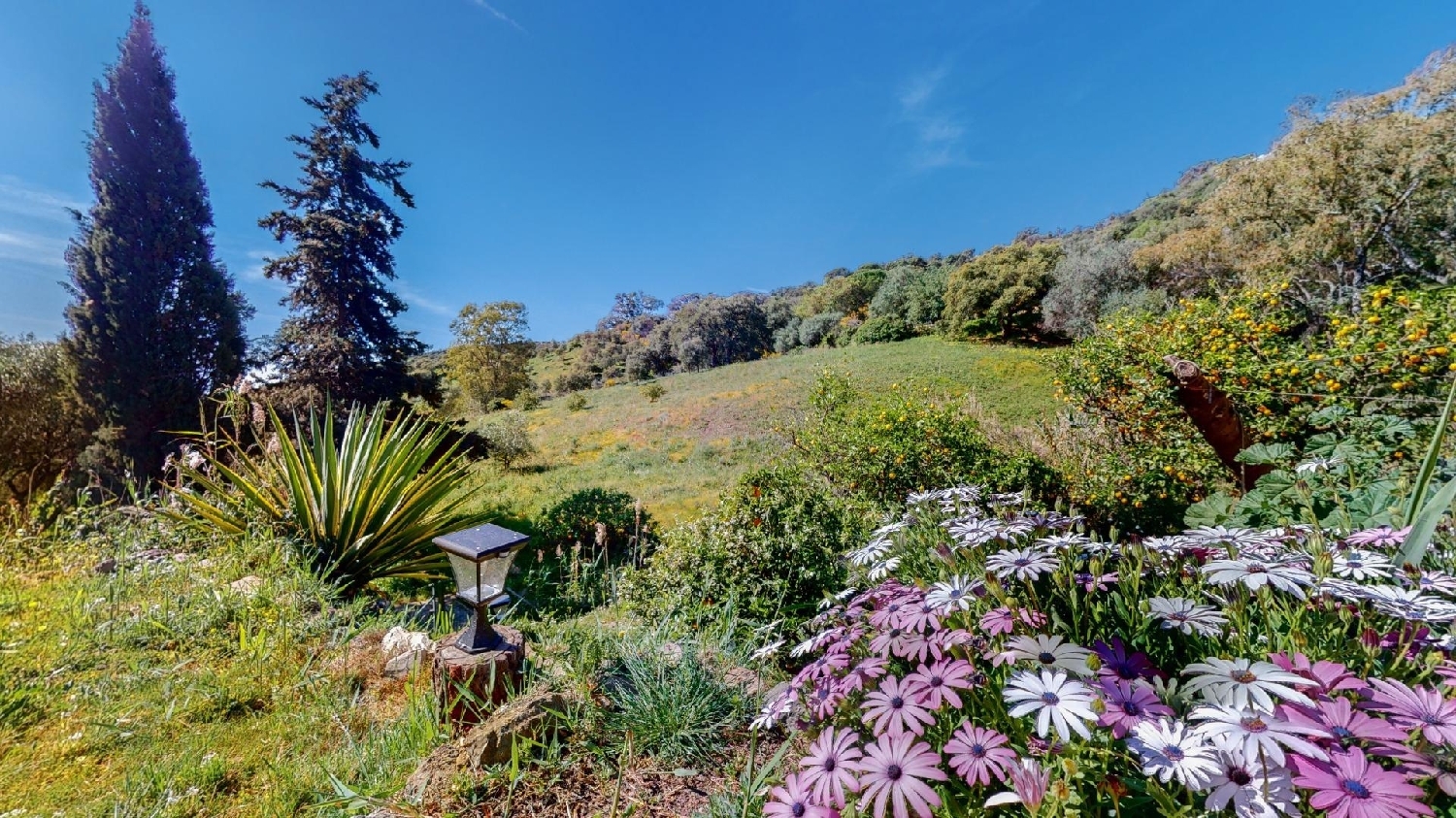 till salu hus på landet Casares Costa Costa Del Sol Occidental 3