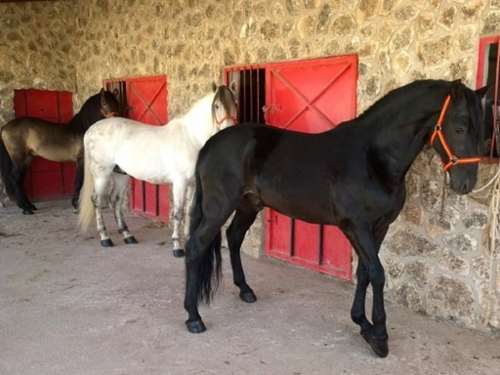 Casas Del Puerto Altiplano hus på landet foto 6243397