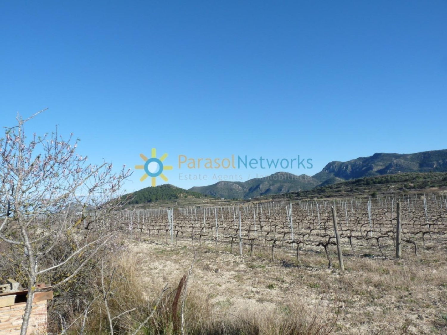  till salu hus på landet Castelló De Rugat Vall D'albaida 4