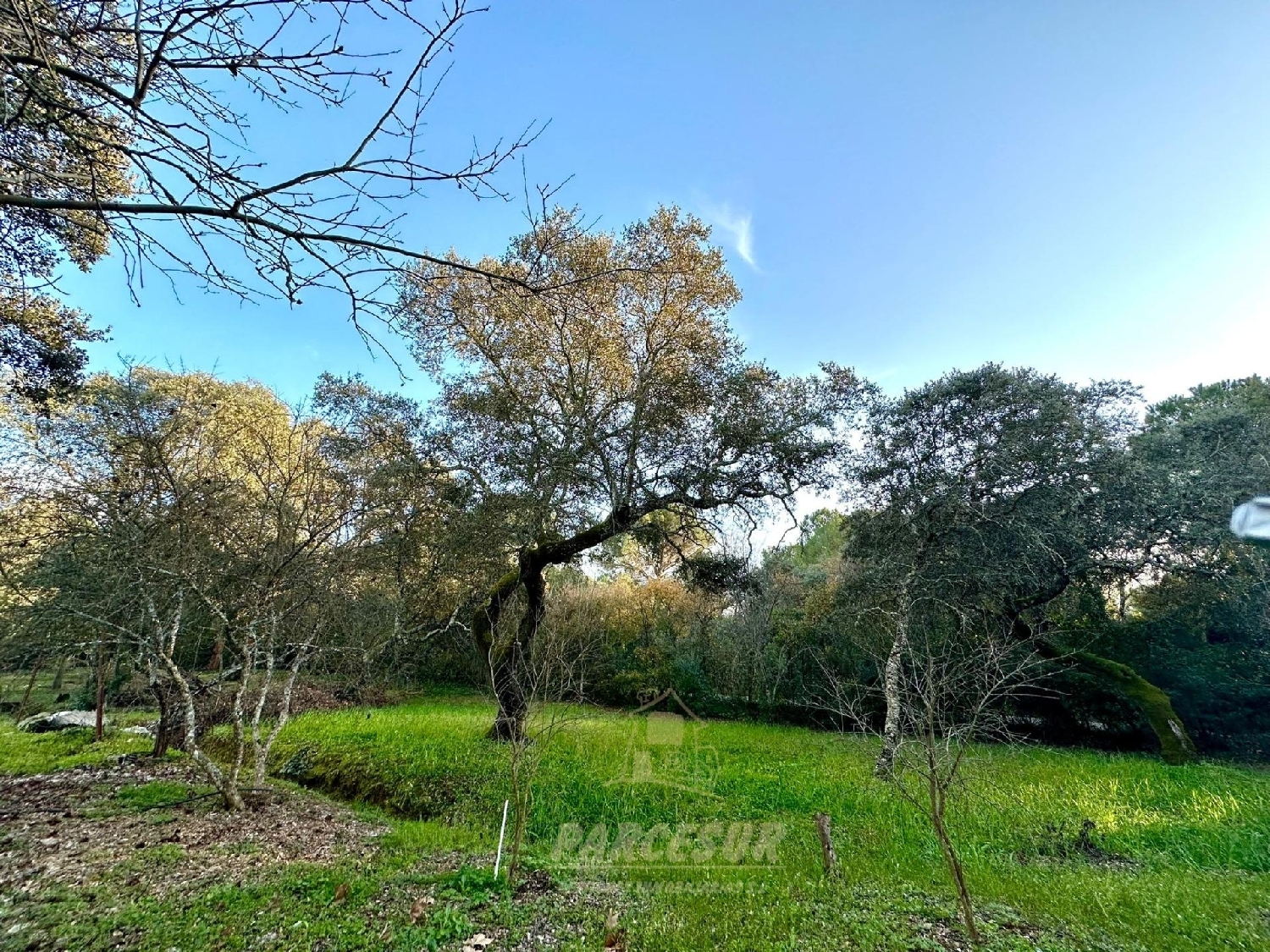  à vendre maison de campagne Villafranca De Córdoba Alto Guadalquivir 8