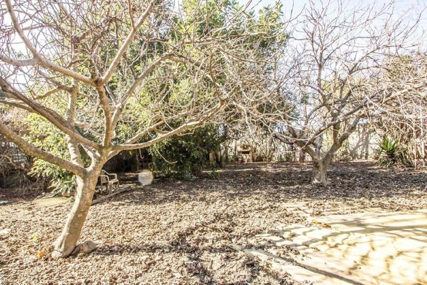 à vendre maison de campagne Churriana De La Vega Vega De Granada 2