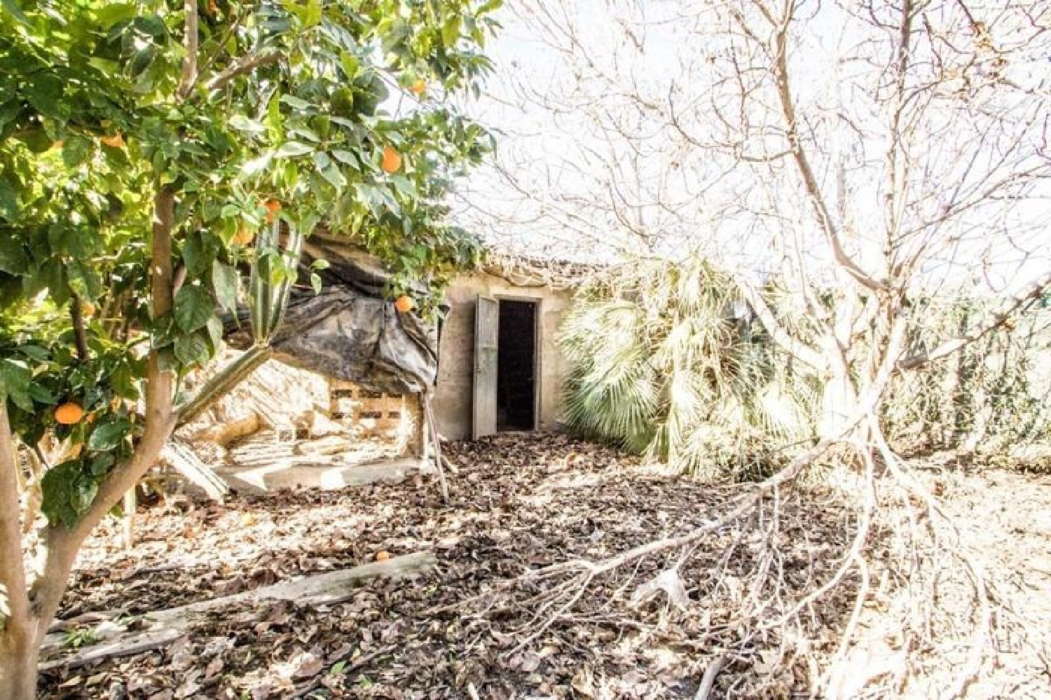 à vendre maison de campagne Churriana De La Vega Vega De Granada 3