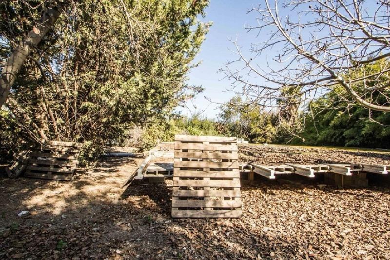  à vendre maison de campagne Churriana De La Vega Vega De Granada 5