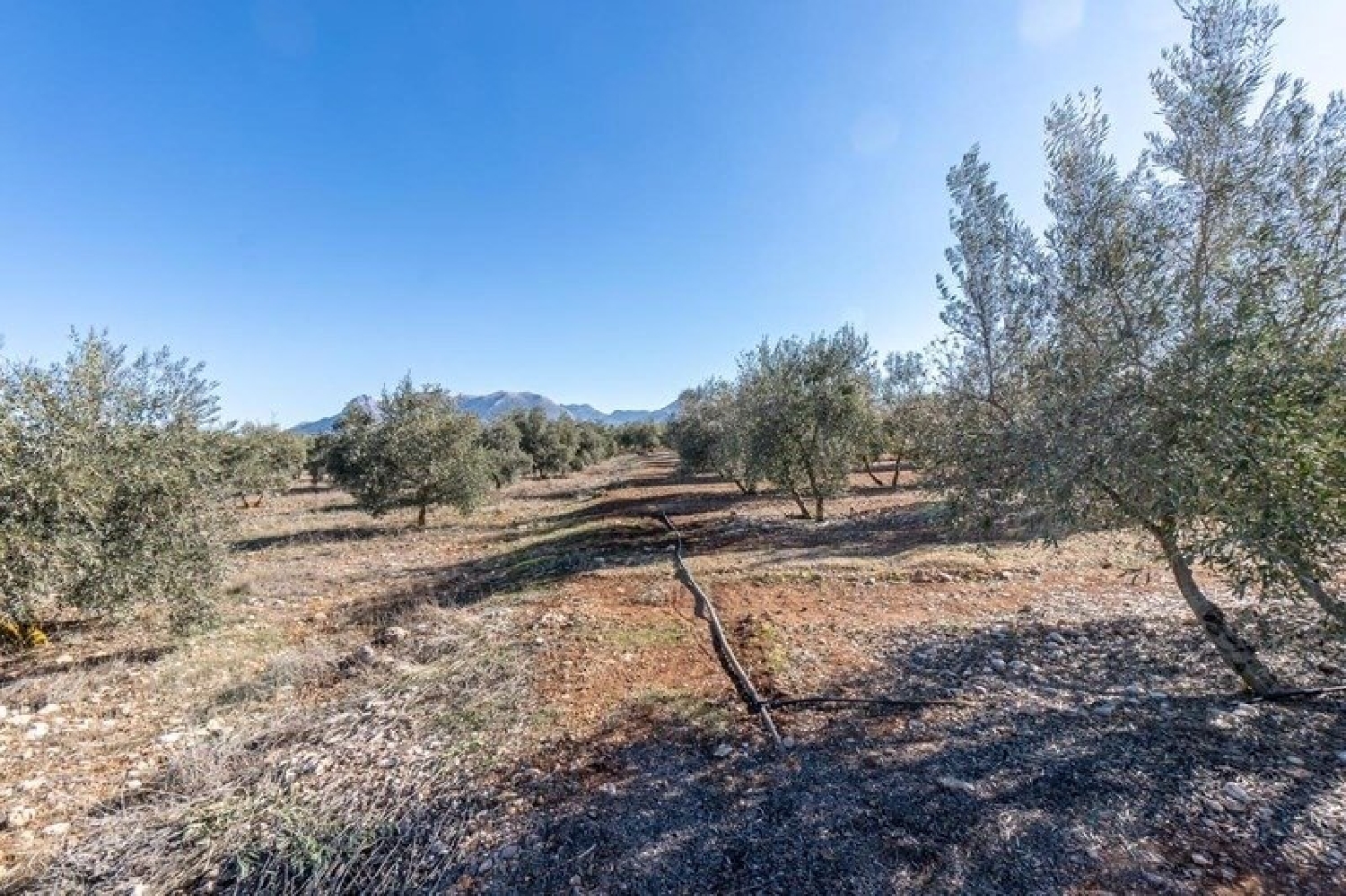  till salu hus på landet Cogollos Vega Vega De Granada 6