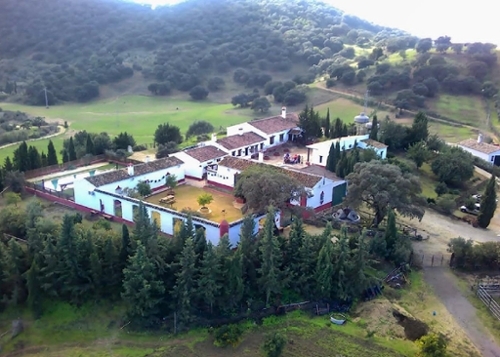Coripe Campiña De Morón Y Marchena hus på landet foto 6227801