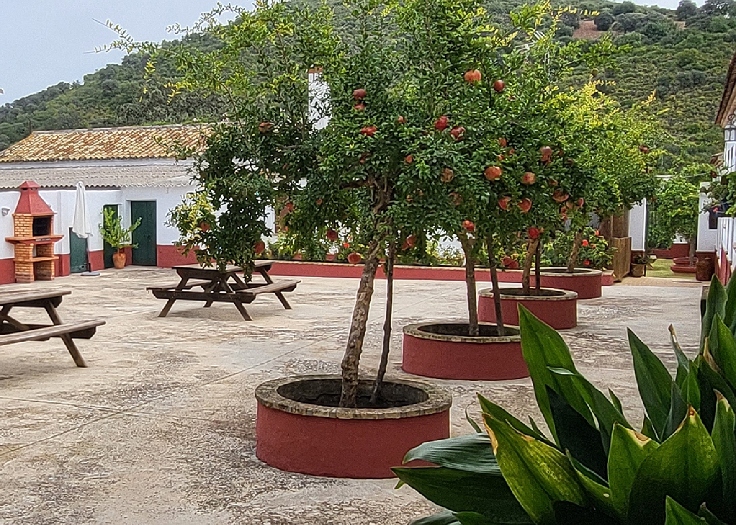  till salu hus på landet Coripe Campiña De Morón Y Marchena 6