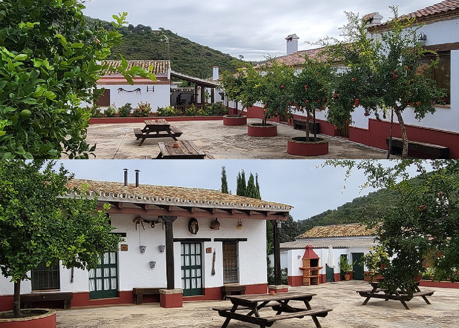  till salu hus på landet Coripe Campiña De Morón Y Marchena 8