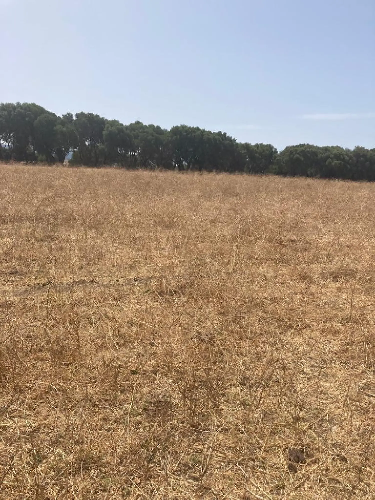  till salu hus på landet La Reconquista-El Ensanche Campo De Gibraltar 1