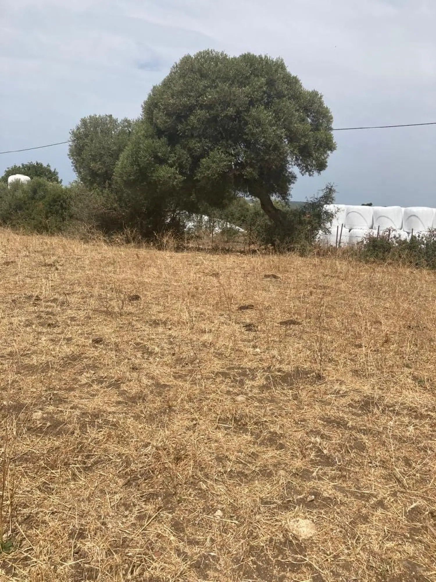  till salu hus på landet La Reconquista-El Ensanche Campo De Gibraltar 6