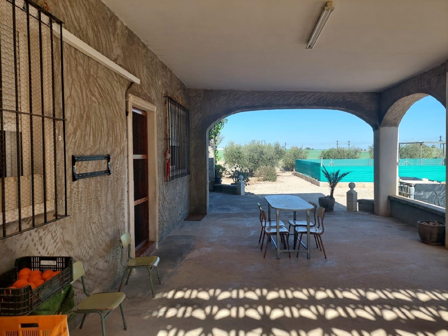  en venta finca rústica Crevillent Baix Vinalopó 4