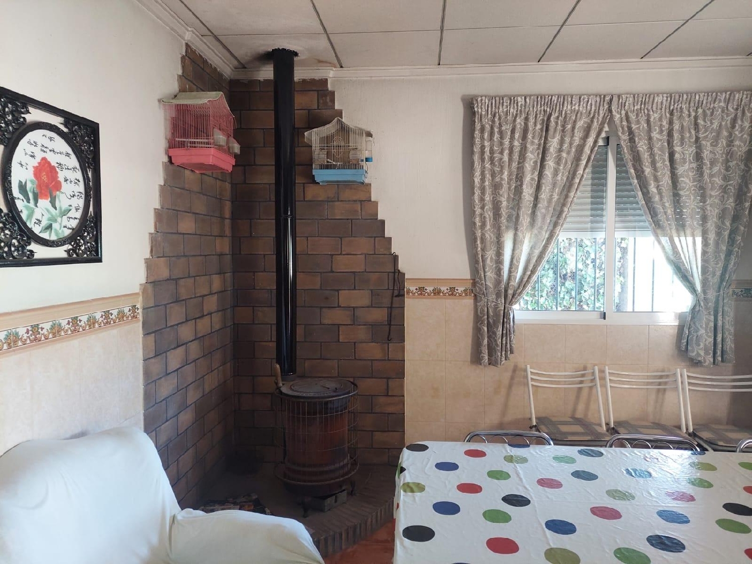  en venta finca rústica Crevillent Baix Vinalopó 6