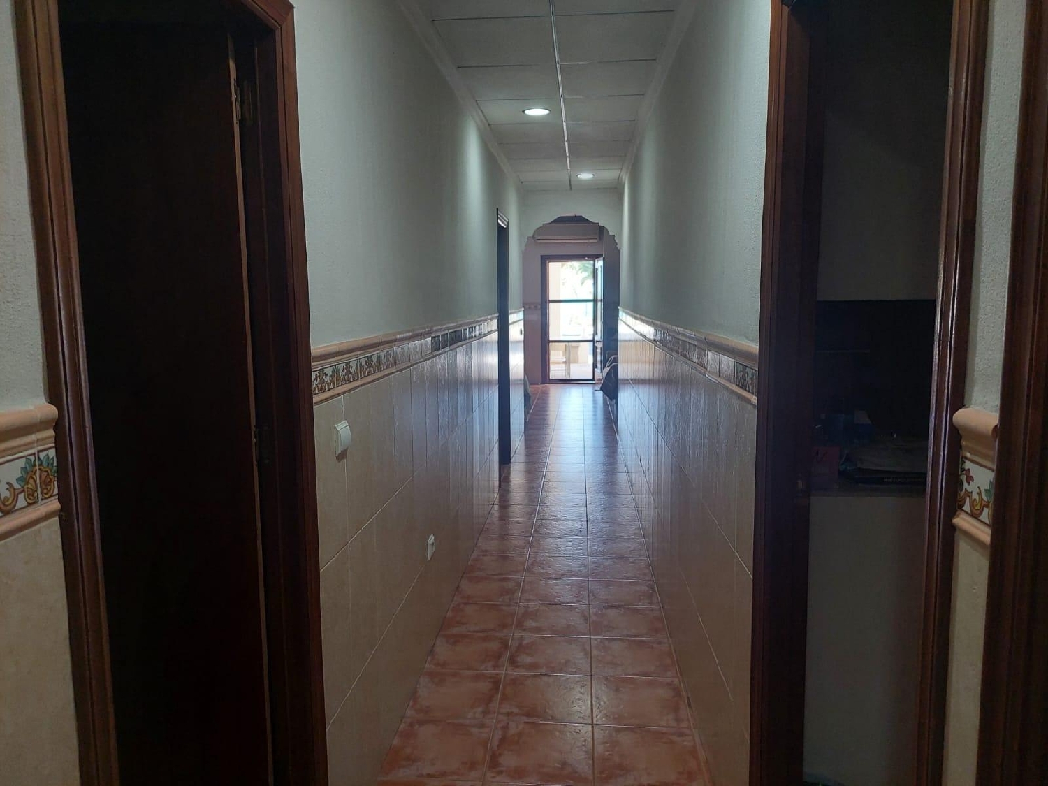  en venta finca rústica Crevillent Baix Vinalopó 5