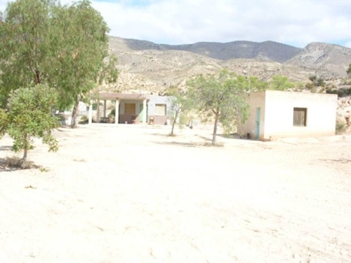 Crevillent Baix Vinalopó hus på landet foto 6221831