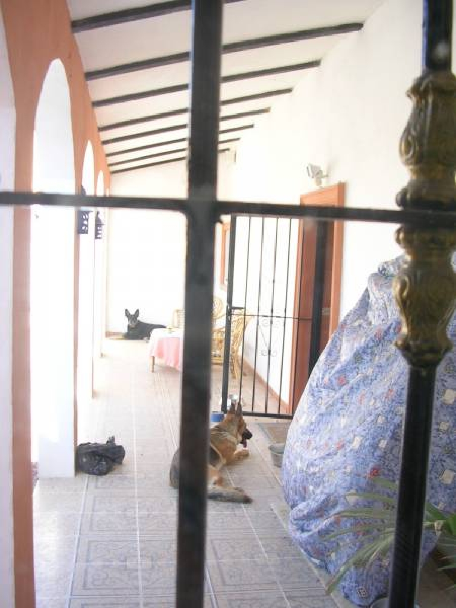  till salu hus på landet Crevillent Baix Vinalopó 7