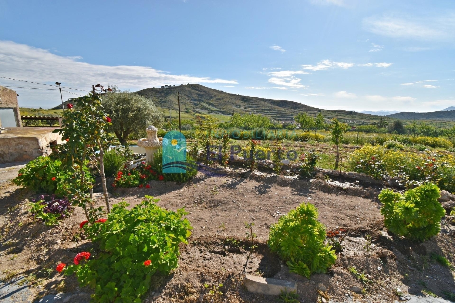  till salu hus på landet Cuesta Blanca De Abajo Campo De Cartagena 4