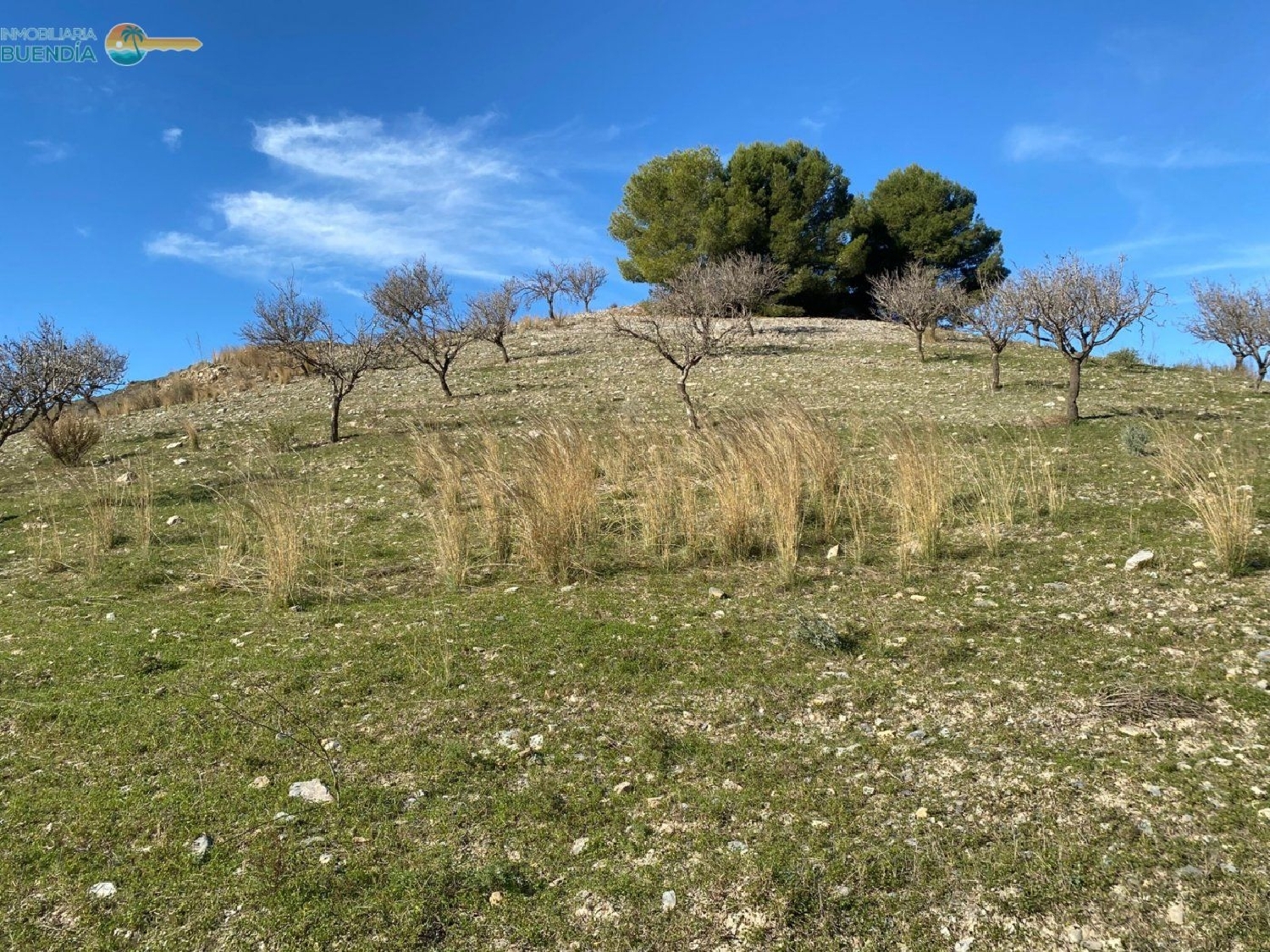  till salu hus på landet Cuesta Blanca De Arriba Campo De Cartagena 8