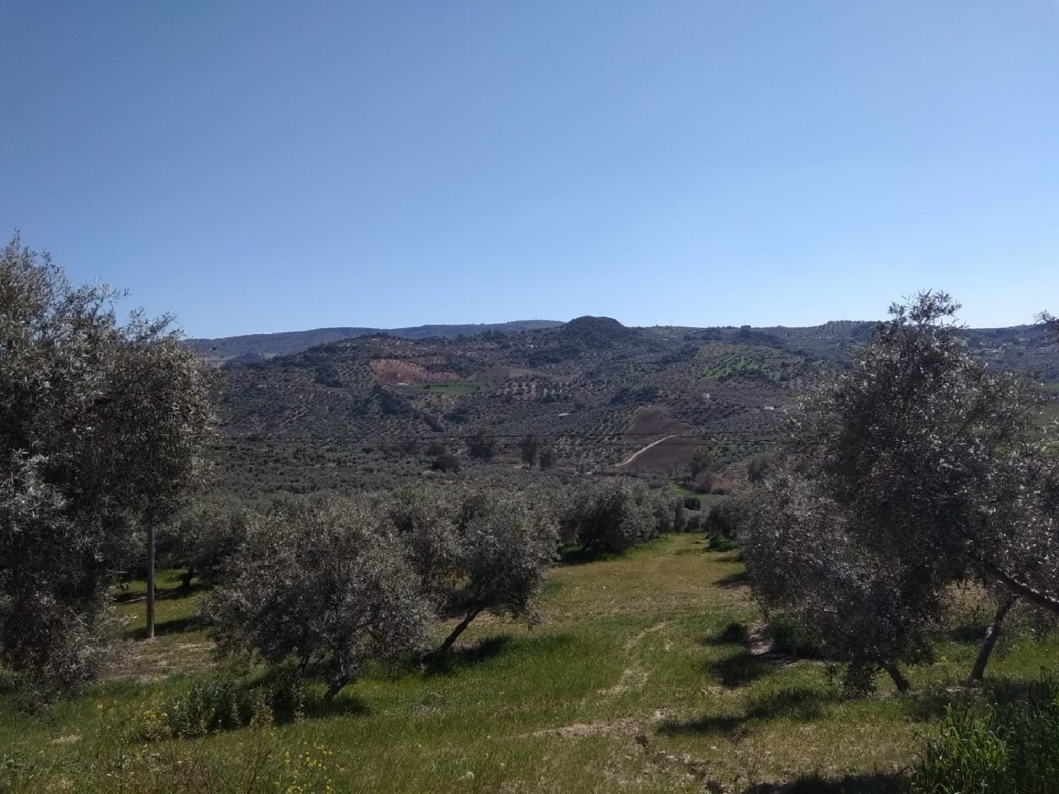  till salu hus på landet Daltmar Garraf 6
