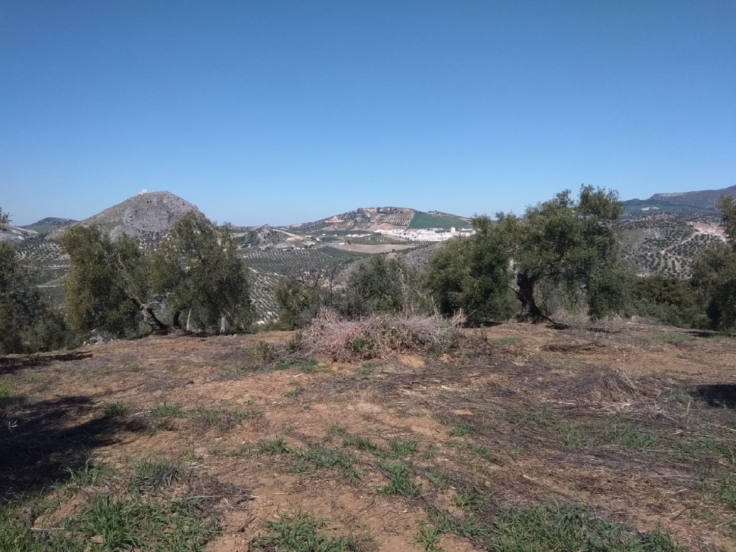  till salu hus på landet Daltmar Garraf 5