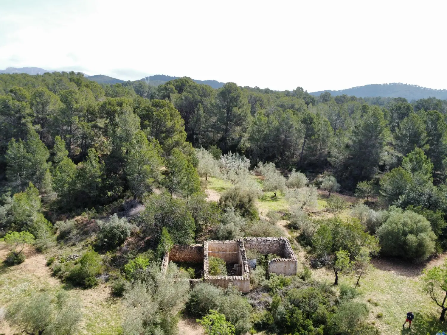  till salu hus på landet Darmós Ribera D'ebre 8