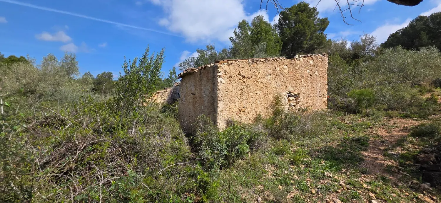 till salu hus på landet Darmós Ribera D'ebre 3