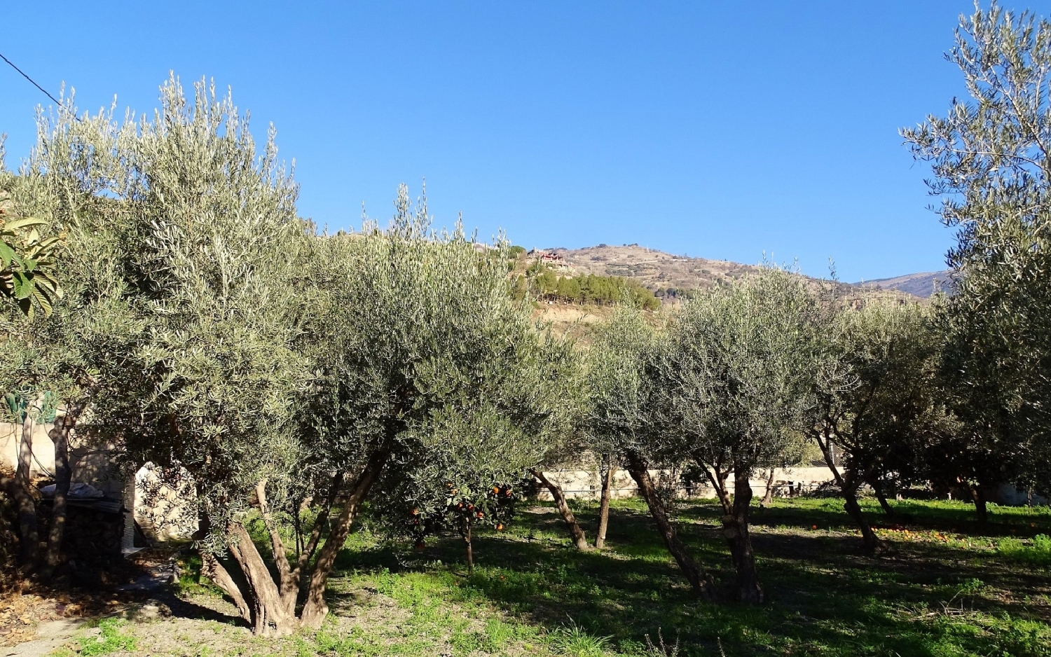  till salu hus på landet Nieles Alpujarra Granadina 5