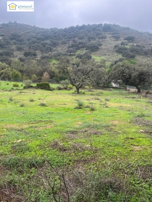 El Cañuelo Sierra Norte hus på landet foto 6222194