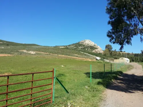 Los Arenales Campiña Sur hus på landet foto 6198822