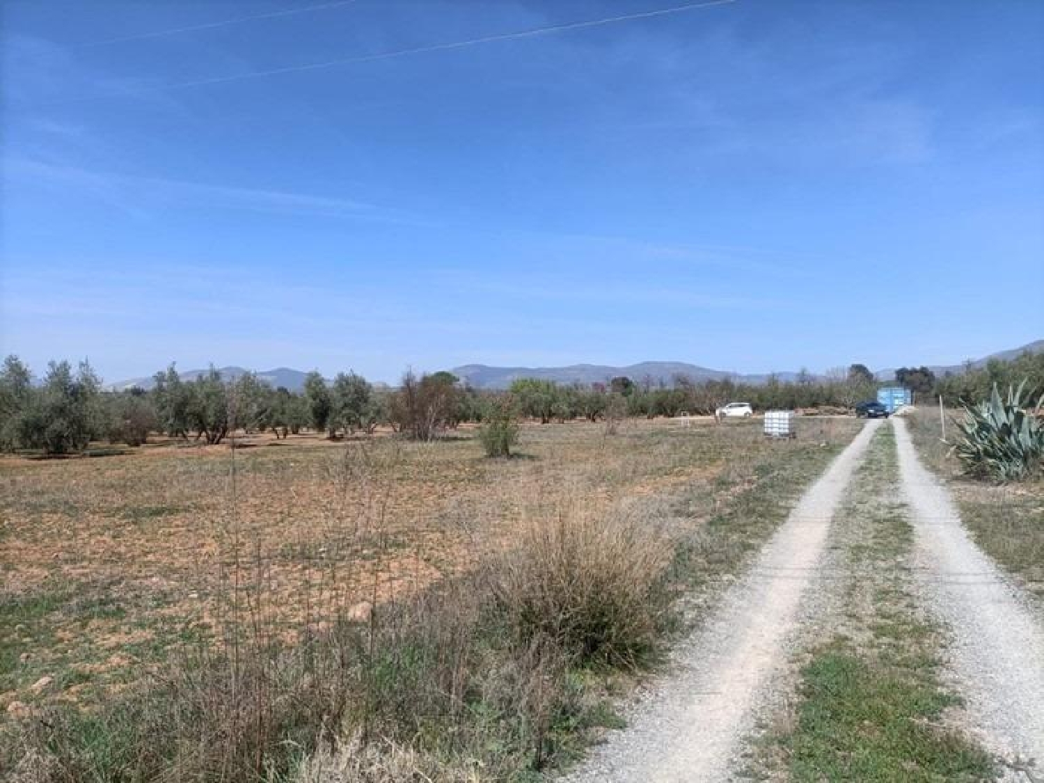 te koop boerderij Parque De Cubillas Vega De Granada 3