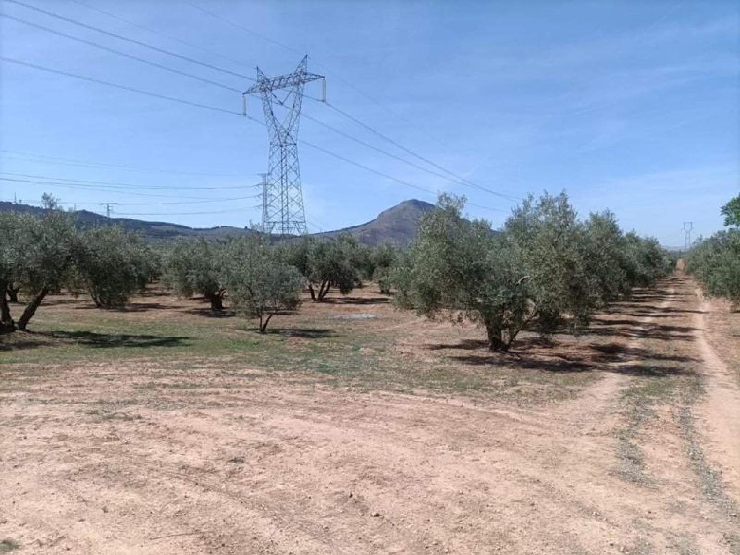  te koop boerderij Parque De Cubillas Vega De Granada 4