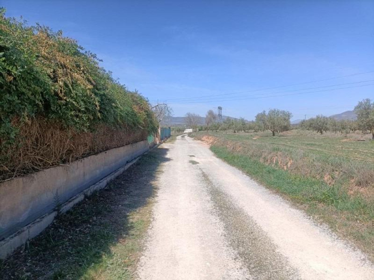  te koop boerderij Parque De Cubillas Vega De Granada 7