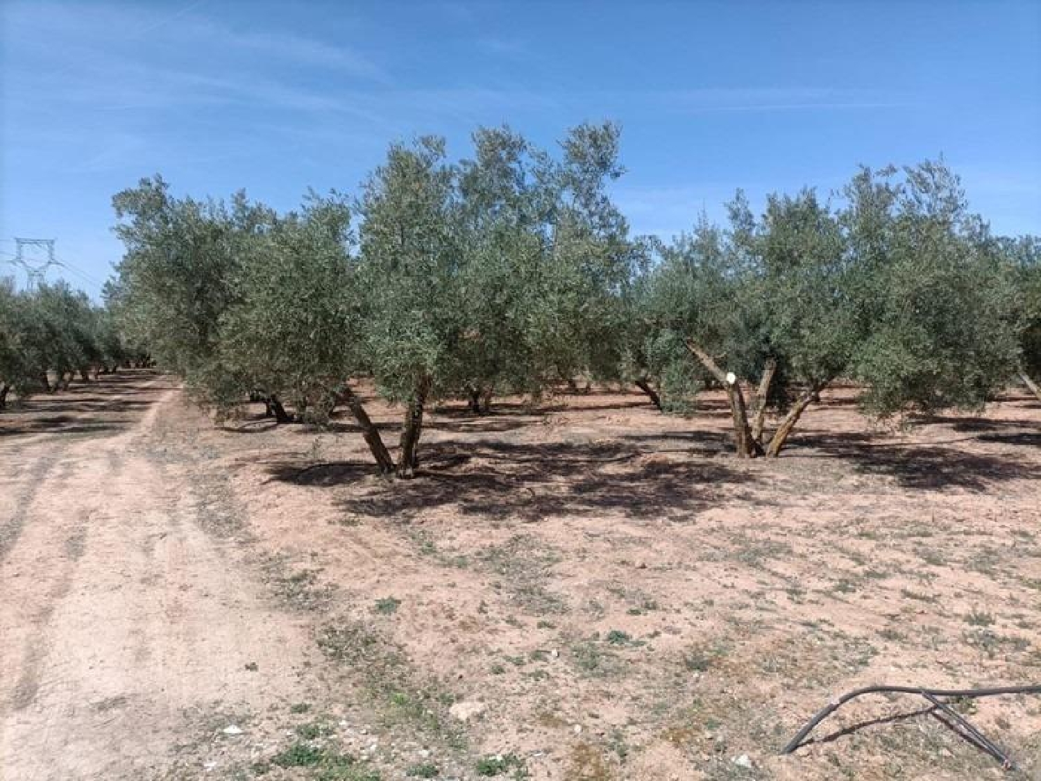  te koop boerderij Parque De Cubillas Vega De Granada 6