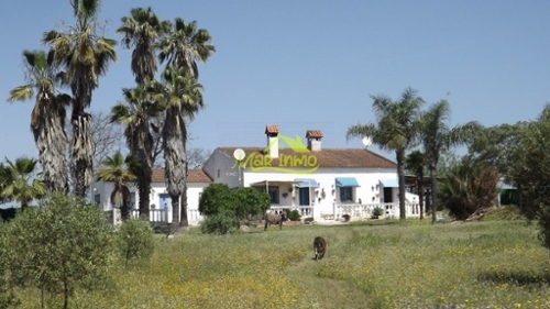 El Chaparral Metropolitana De Huelva hus på landet foto 6260313