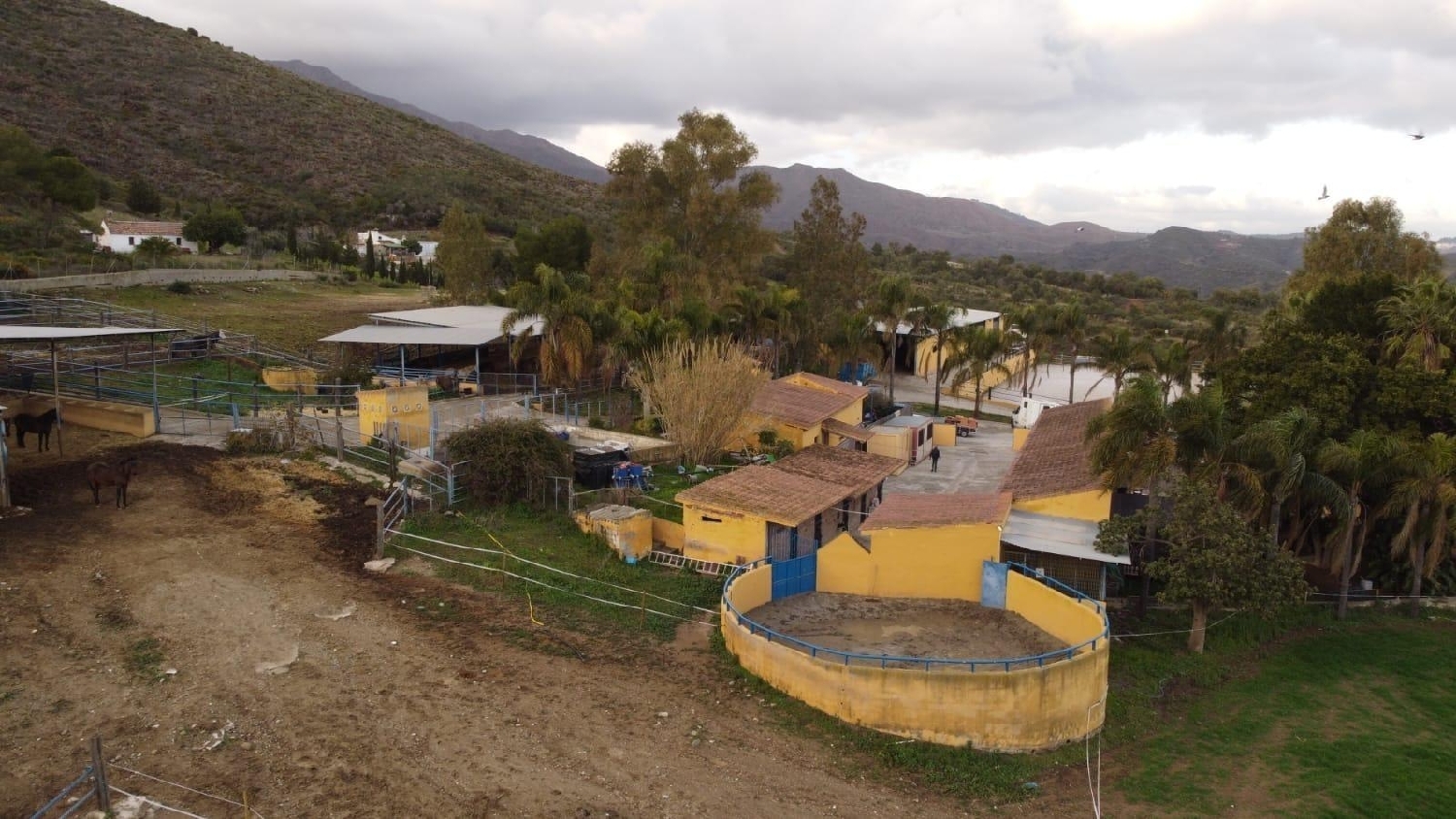  till salu hus på landet El Chaparral Costa Del Sol Occidental 5