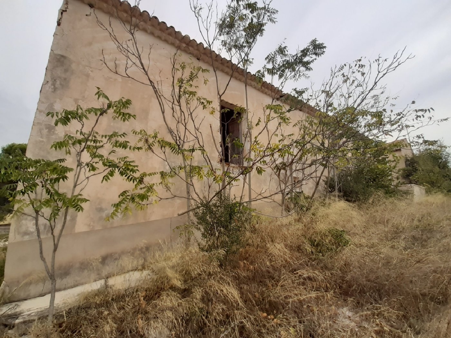  till salu hus på landet Monóvar Vinalopó Mitjà 6