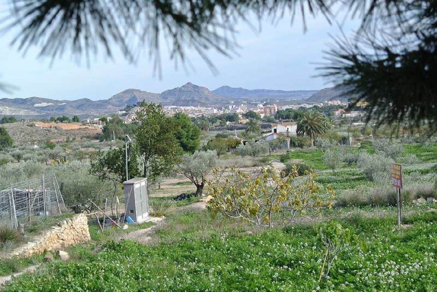 till salu hus på landet El Derramao Vinalopó Mitjà 3