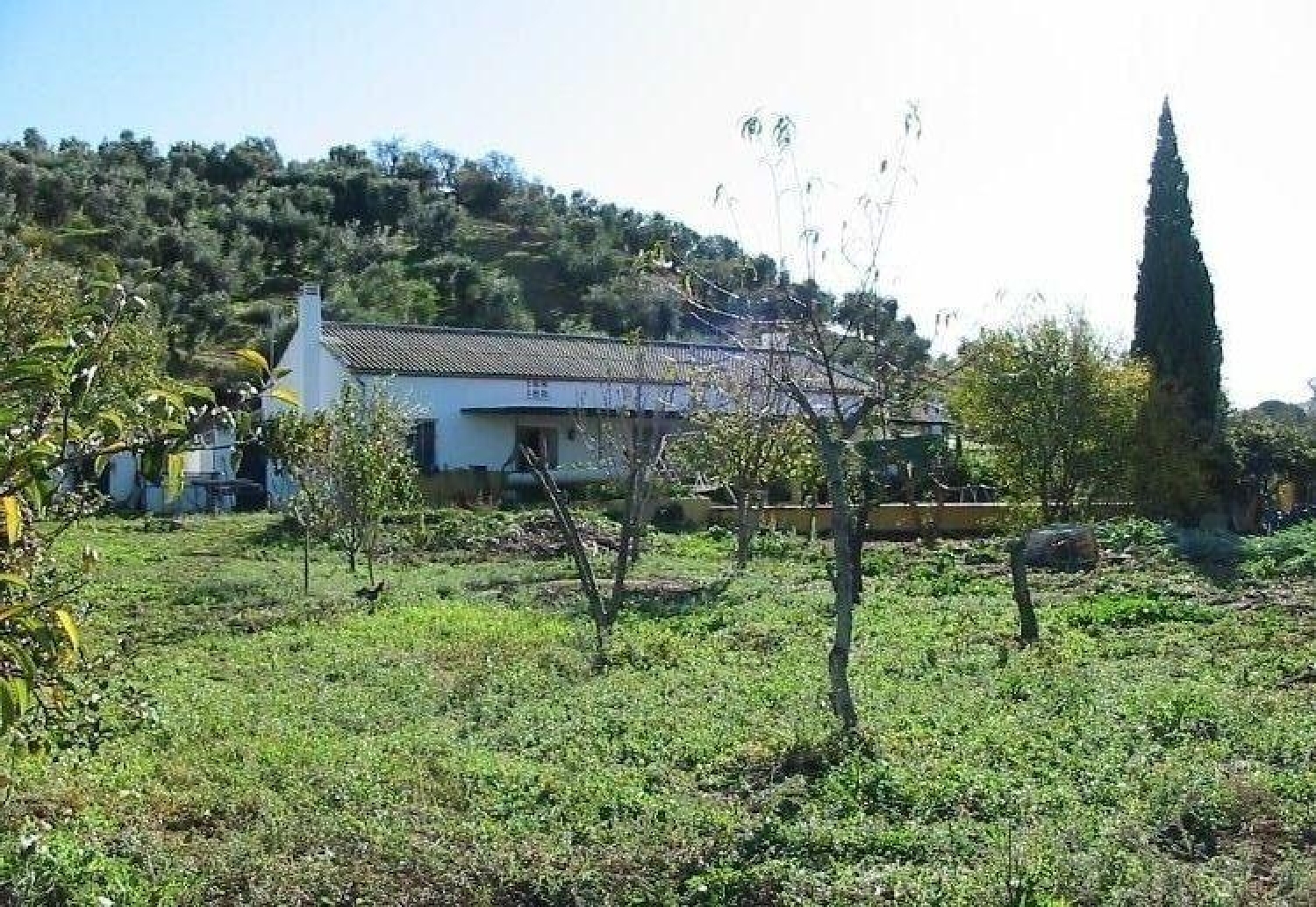  till salu hus på landet El Gastor Sierra De Cádiz 4