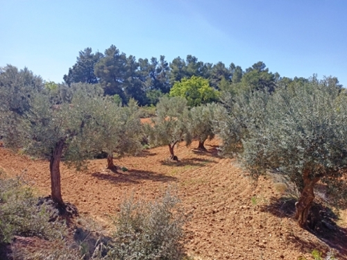 El Gor Levante Almeriense hus på landet foto 6253051