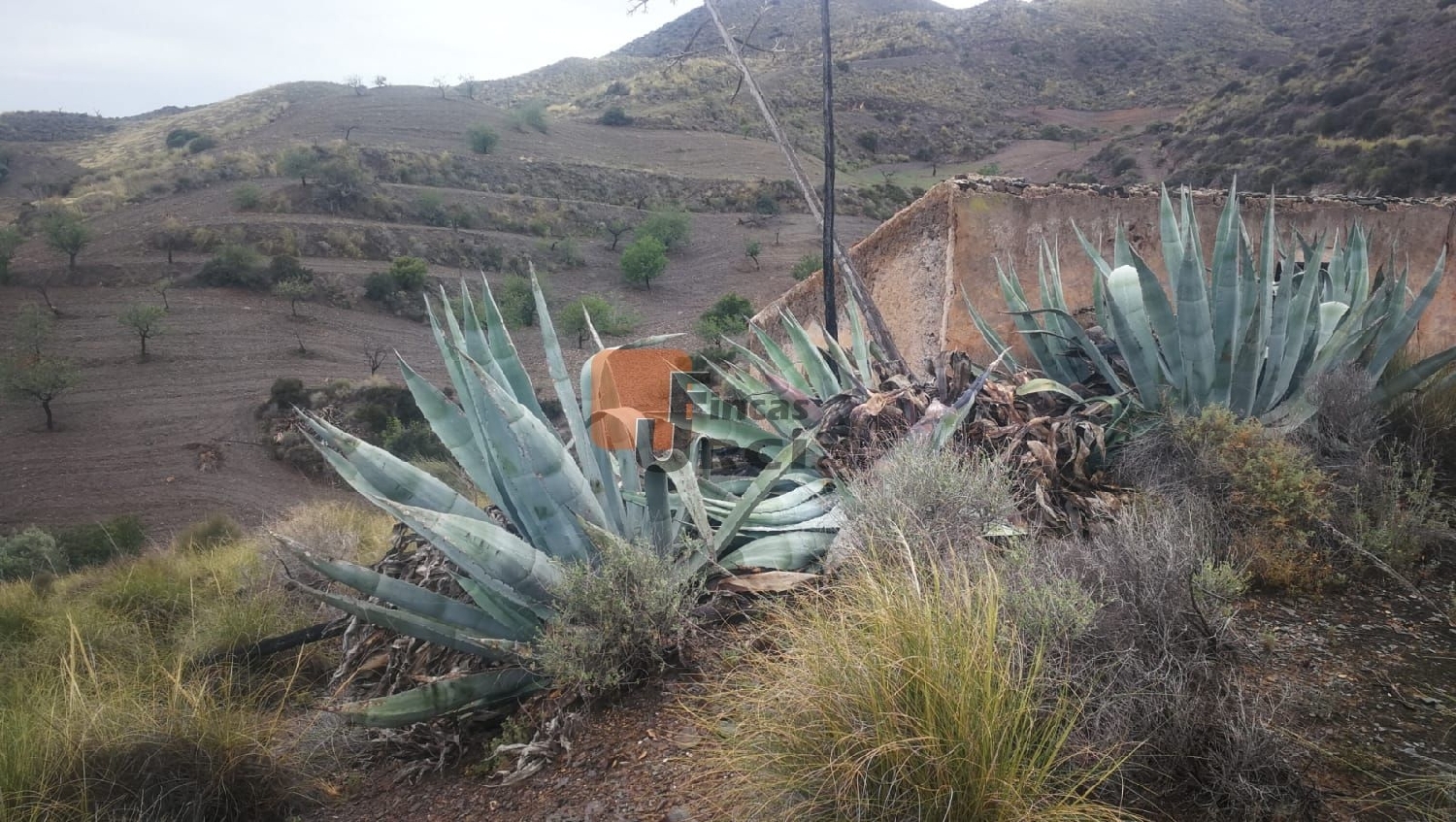  till salu hus på landet El Higueral Campo De Cartagena 4