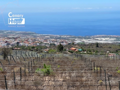 El Jaral Zona Suroeste hus på landet foto 6250725