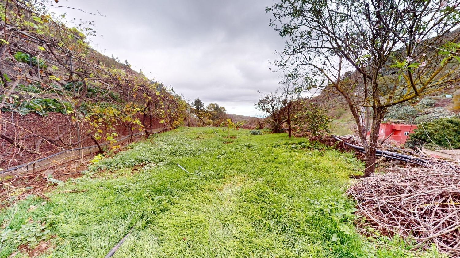  till salu hus på landet El Madroñal Área Centro 5