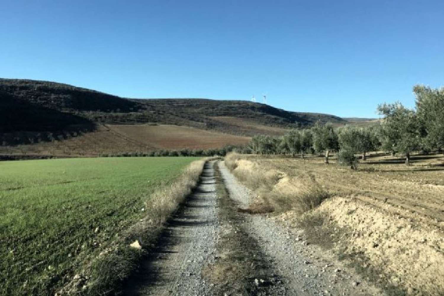 till salu hus på landet El Padul Valle De Lecrín 2